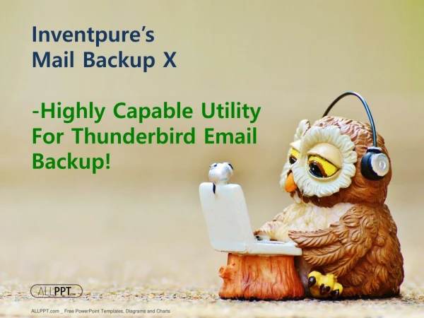 Backup Thunderbird Email