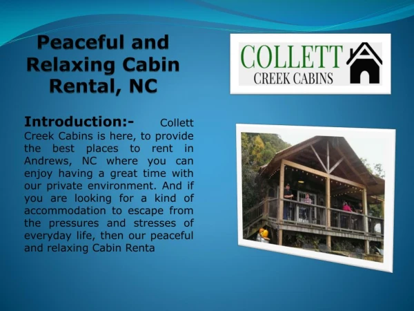 Peaceful and Relaxing Cabin Rental, NC