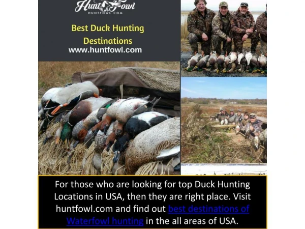 Choose the Best Duck Hunting Destinations