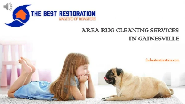 Area Rug Cleaning Services in Gainesville - The Best Restoration