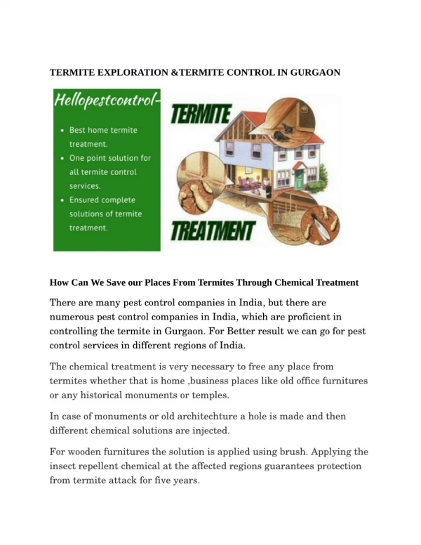 How Can We Save our Places From Termites Through Chemical Treatment