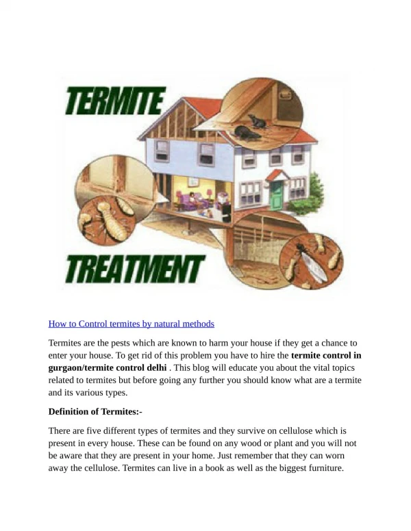 How to Control termites by natural methods