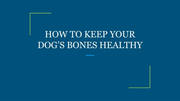 HOW TO KEEP YOUR DOG’S BONES HEALTHY