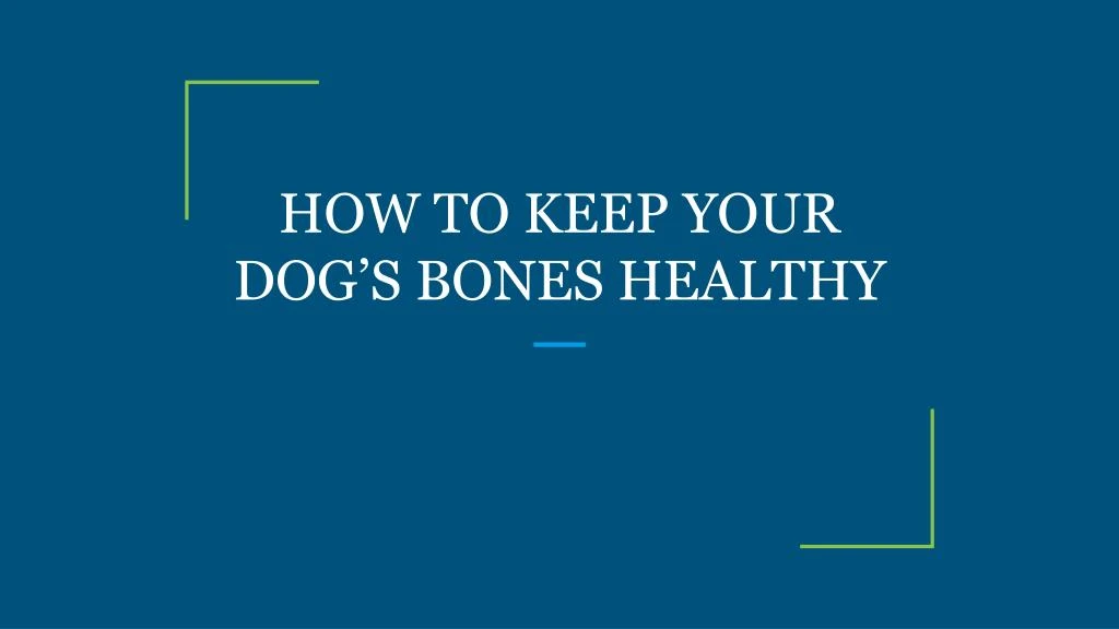 how to keep your dog s bones healthy