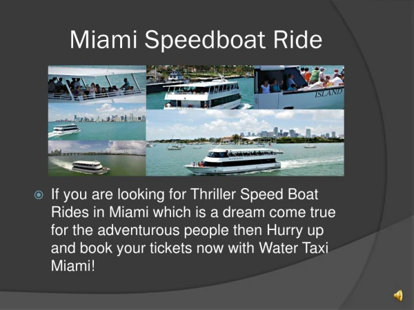 Miami Boat Rides