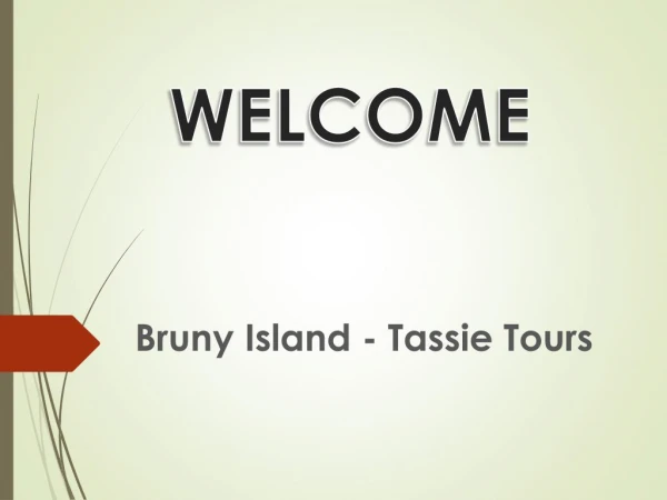 Planning for Bruny Island Day Tours