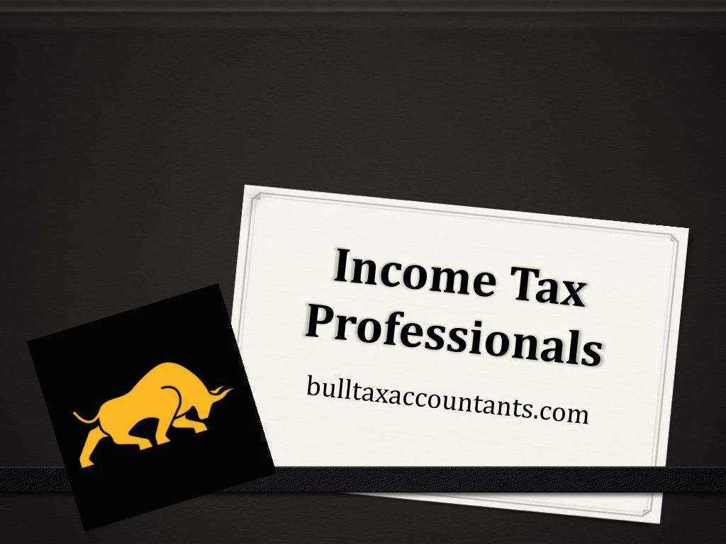 income tax professionals