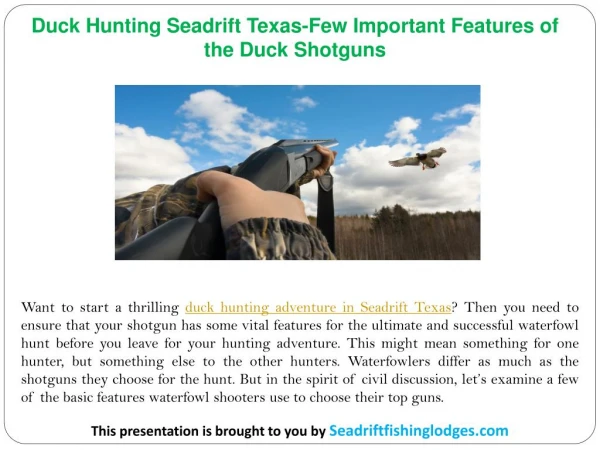 Duck Hunting Seadrift Texas-Few Important Features of the Duck Shotguns