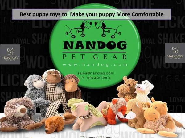 Best puppy toys to Make your puppy More Comfortable