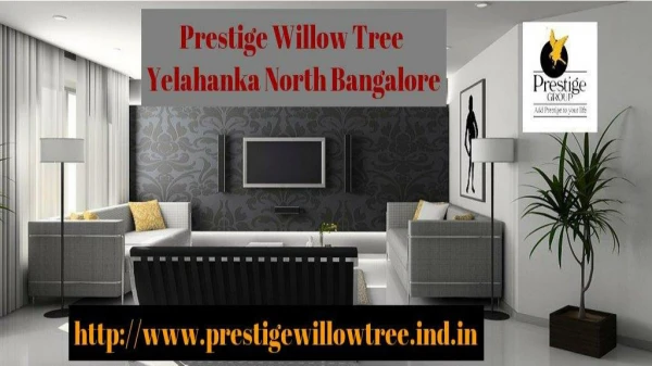 Prestige Willow Tree Contact Us