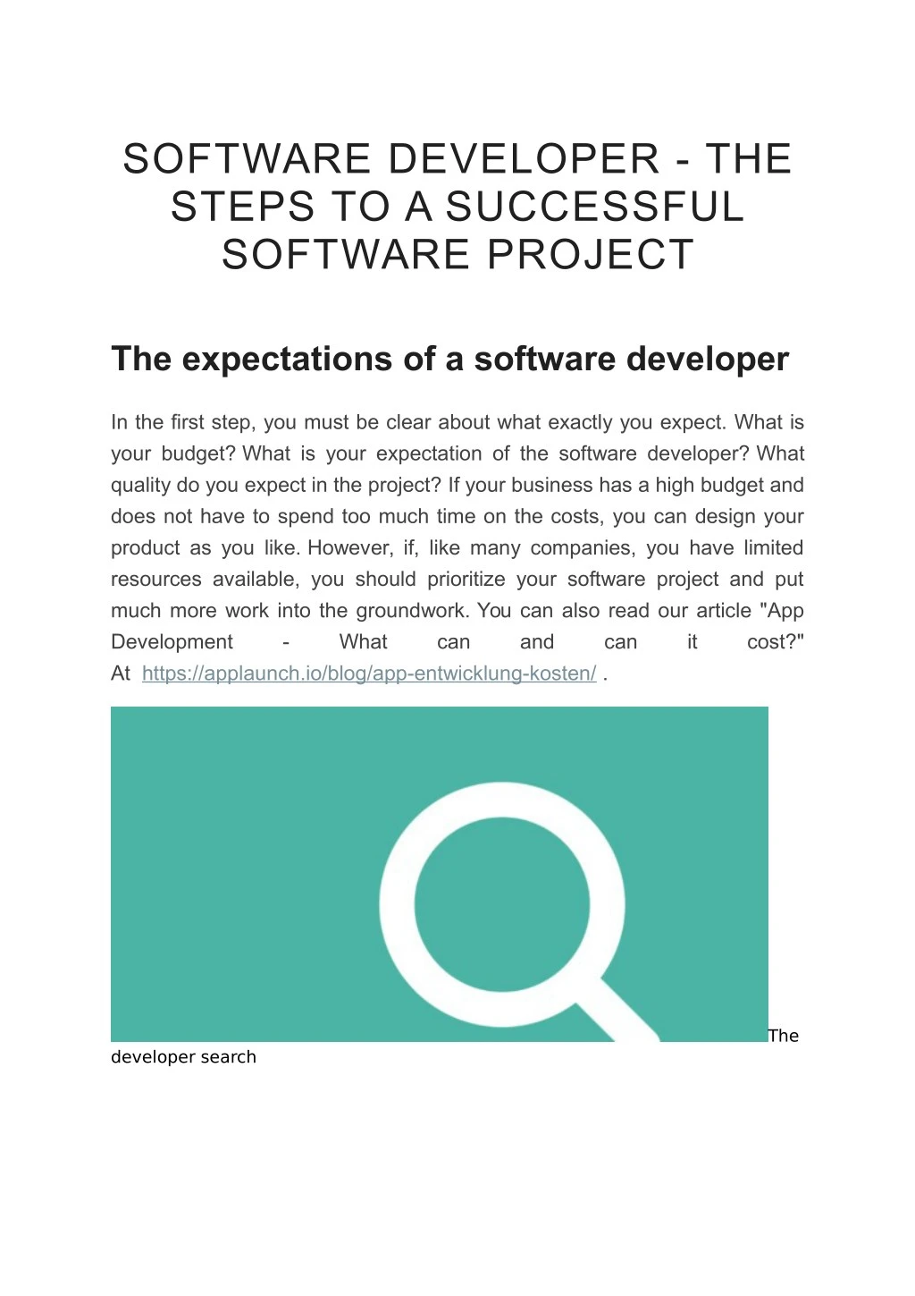 software developer the steps to a successful