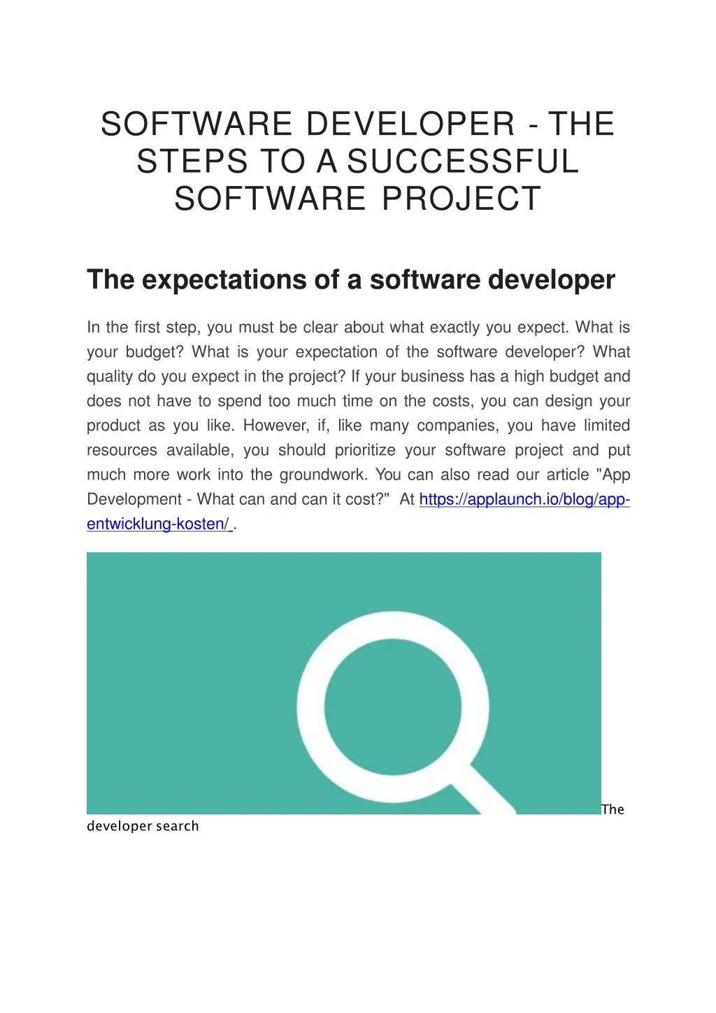 software developer the steps to a successful software project