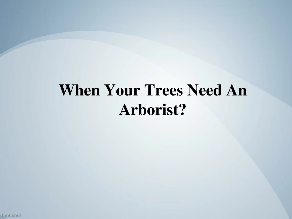 when your trees need an arborist