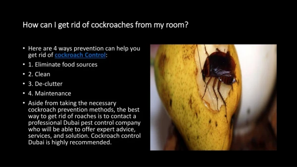 How can I get rid of cockroaches from my room