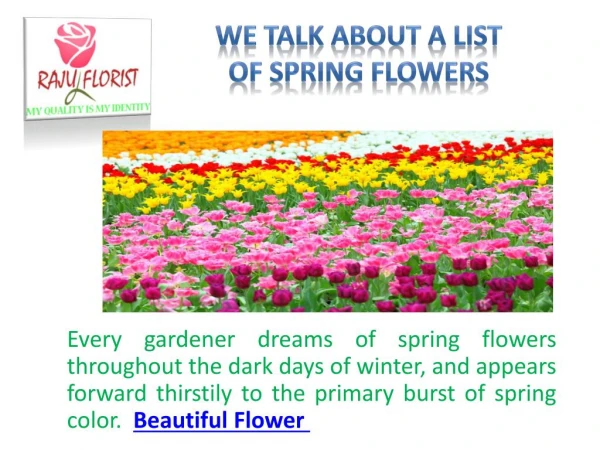We Talk About a List of Spring Flowers