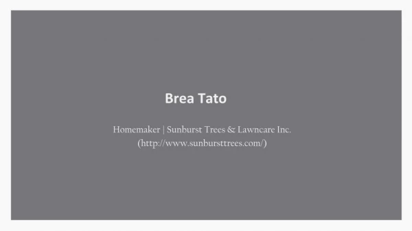 Brea Tato - Homemaker