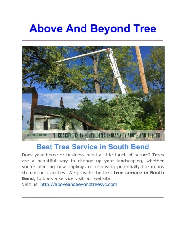 Best Tree Service in South Bend