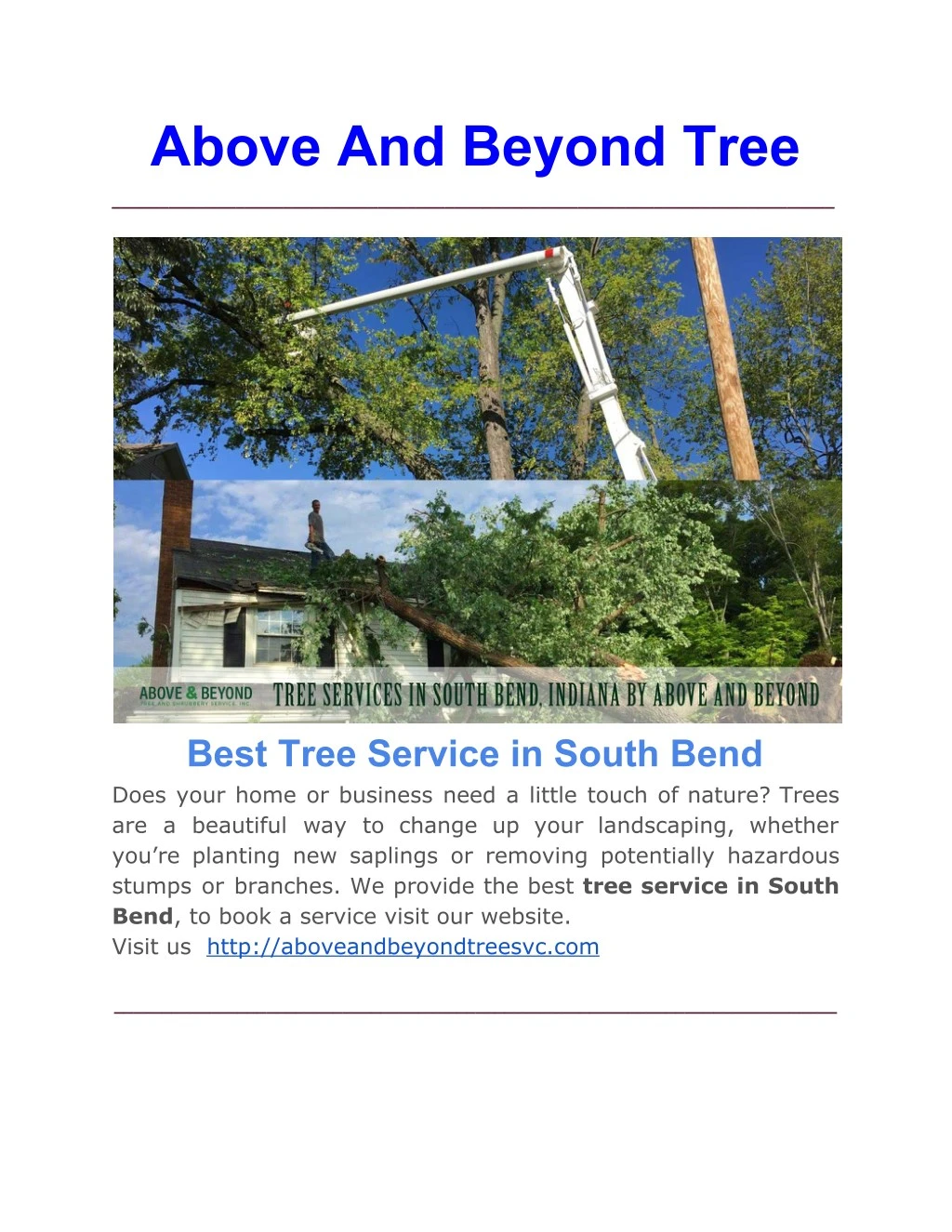 above and beyond tree