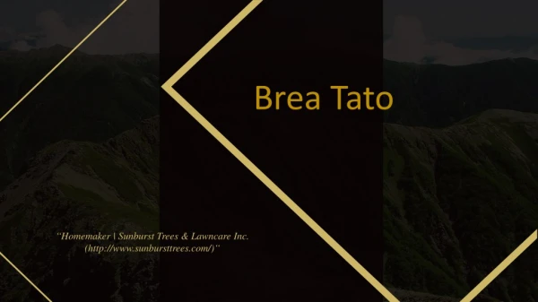 Brea Tato - Sunburst Trees & Lawncare Inc.