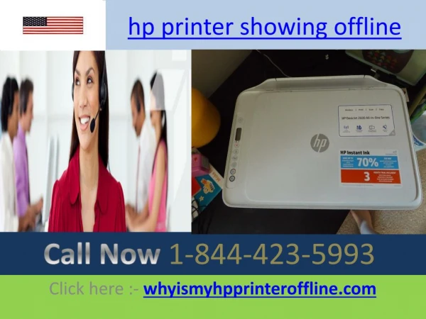 hp printer showing offline
