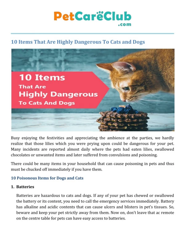 10 Items That Are Highly Dangerous To Cats And Dogs