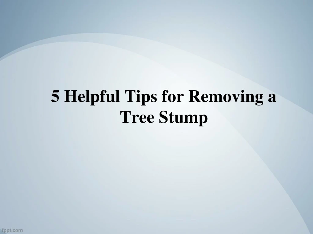5 helpful tips for removing a tree stump