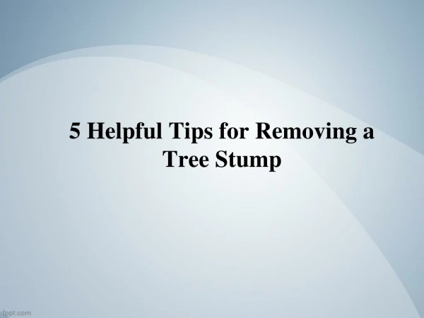 5 Helpful Tips for Removing a Tree Stump - Northern Tree Services
