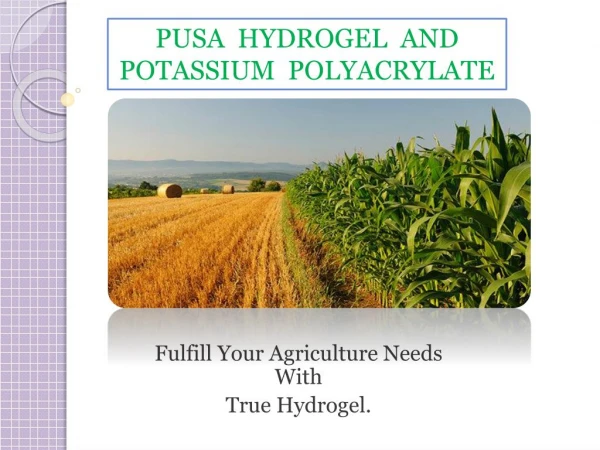 Benefits of Pusa Hydrogel