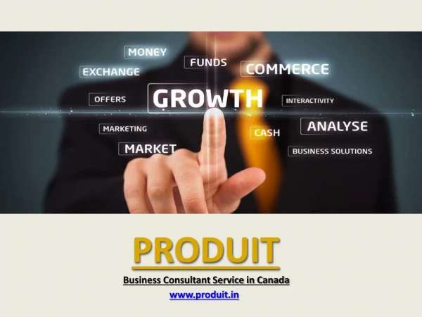 Produit â€“ Best Business Consultant in Canada