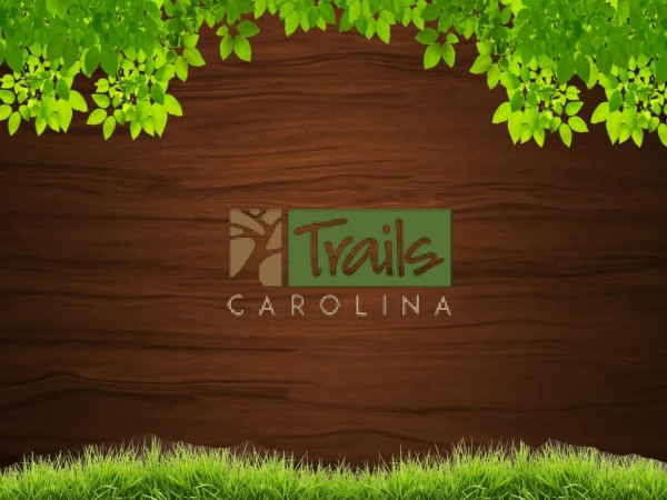 Therapy Programs Provider: Trails Carolina