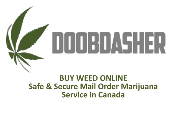 Buy medical marijuana online from doobdasher in Canada