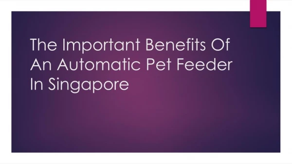 The Important Benefits Of An Automatic Pet Feeder In Singapore