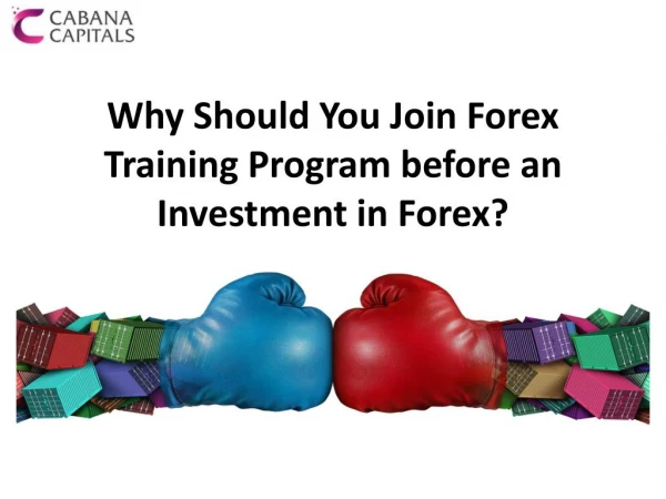 How Important Is Forex Training For A Newbie?
