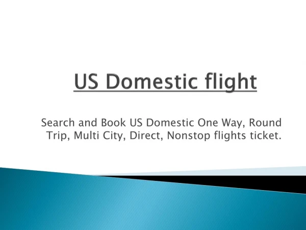 US Domestic Flights