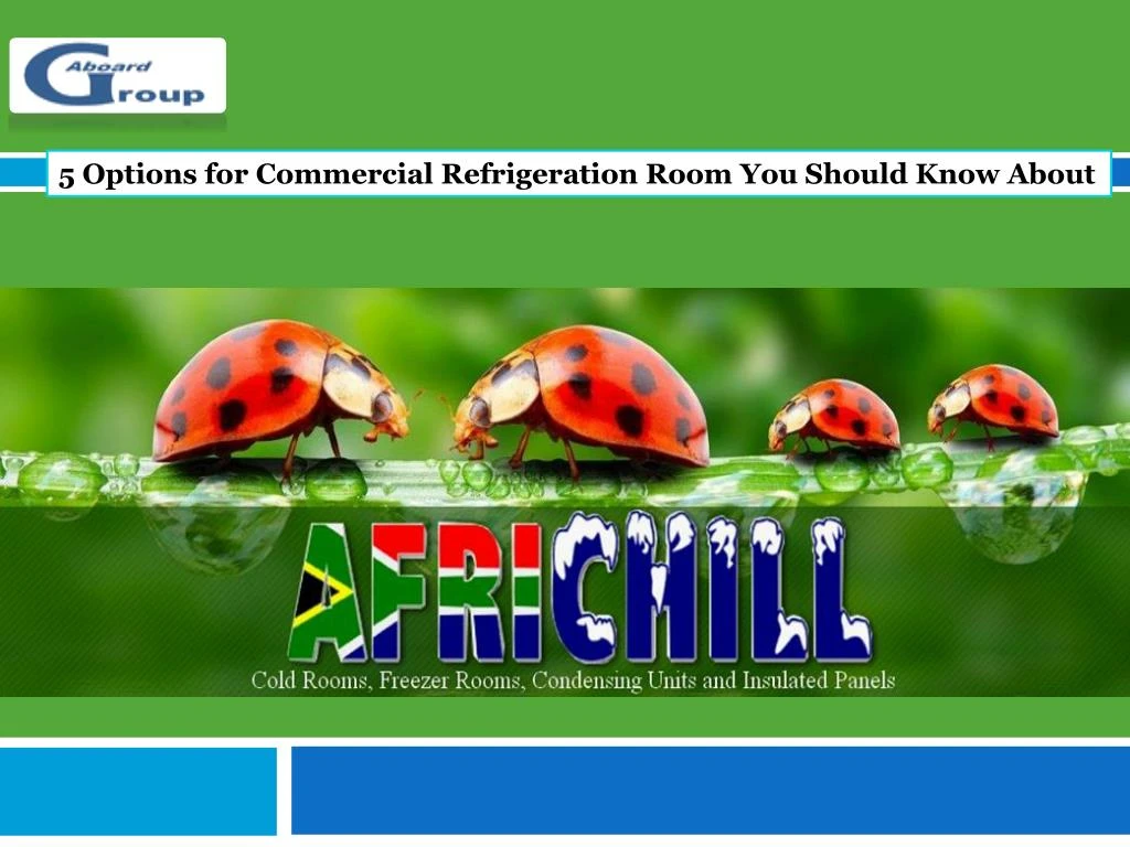 5 options for commercial refrigeration room