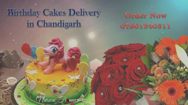 Birthday Cake Delivery in Chandigarh