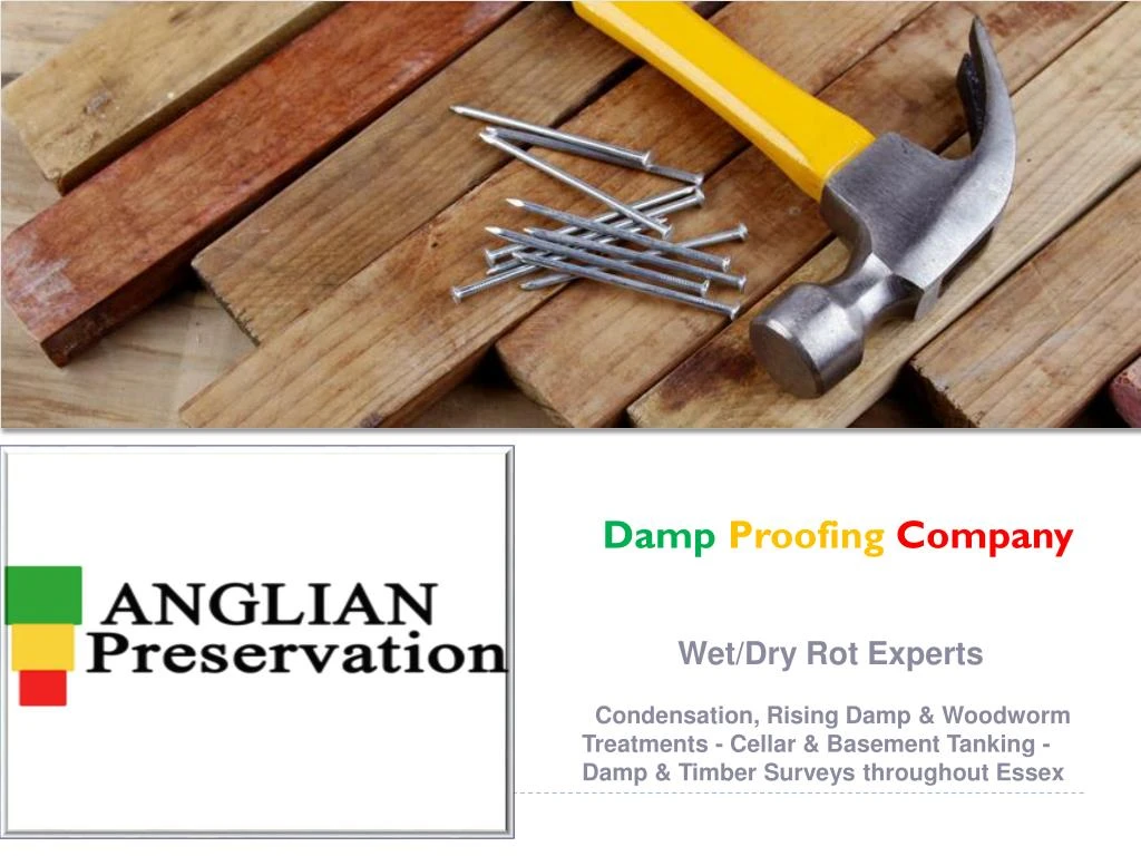 damp proofing company