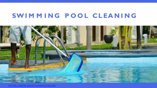 swimming pool cleaning best PPT Presentation