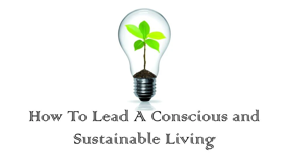 how to lead a conscious and sustainable living