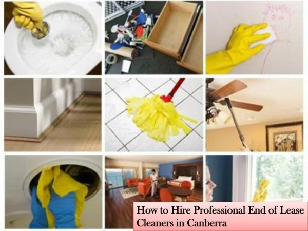 How to Find Professional End of Lease Cleaning Service Provider?