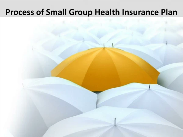 Process of Small Group Health Insurance Plan by Independent Benefit Advisors