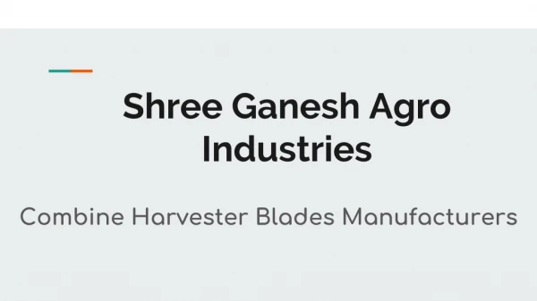 Shree Ganesh Agro Industries