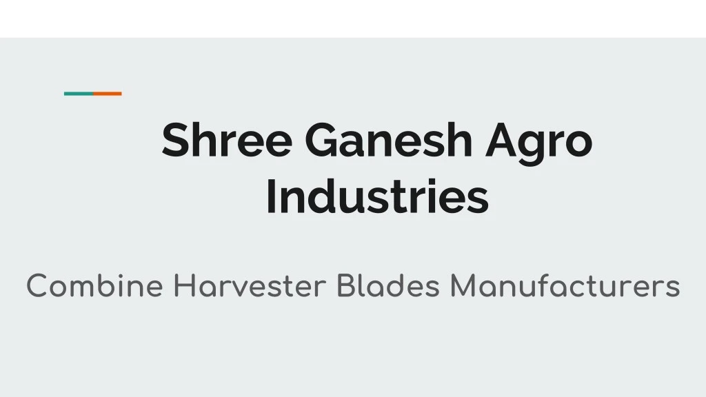shree ganesh agro industries