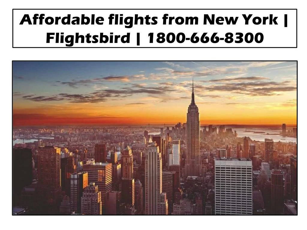 affordable flights from new york flightsbird 1800 666 8300