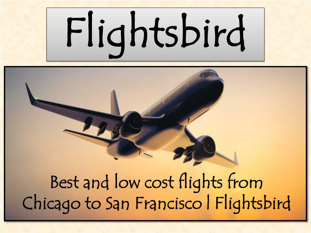 flightsbird