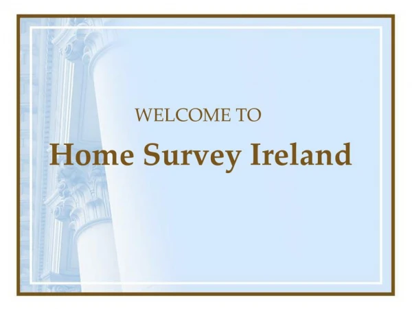 Find The Best Building Surveys in Dublin 2