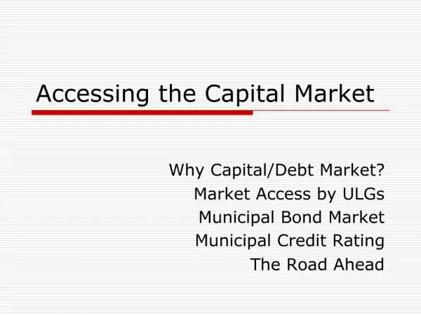 Accessing the Capital Market