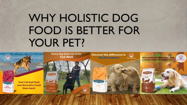 Why Holistic Dog Food Is Better For Your Pet?