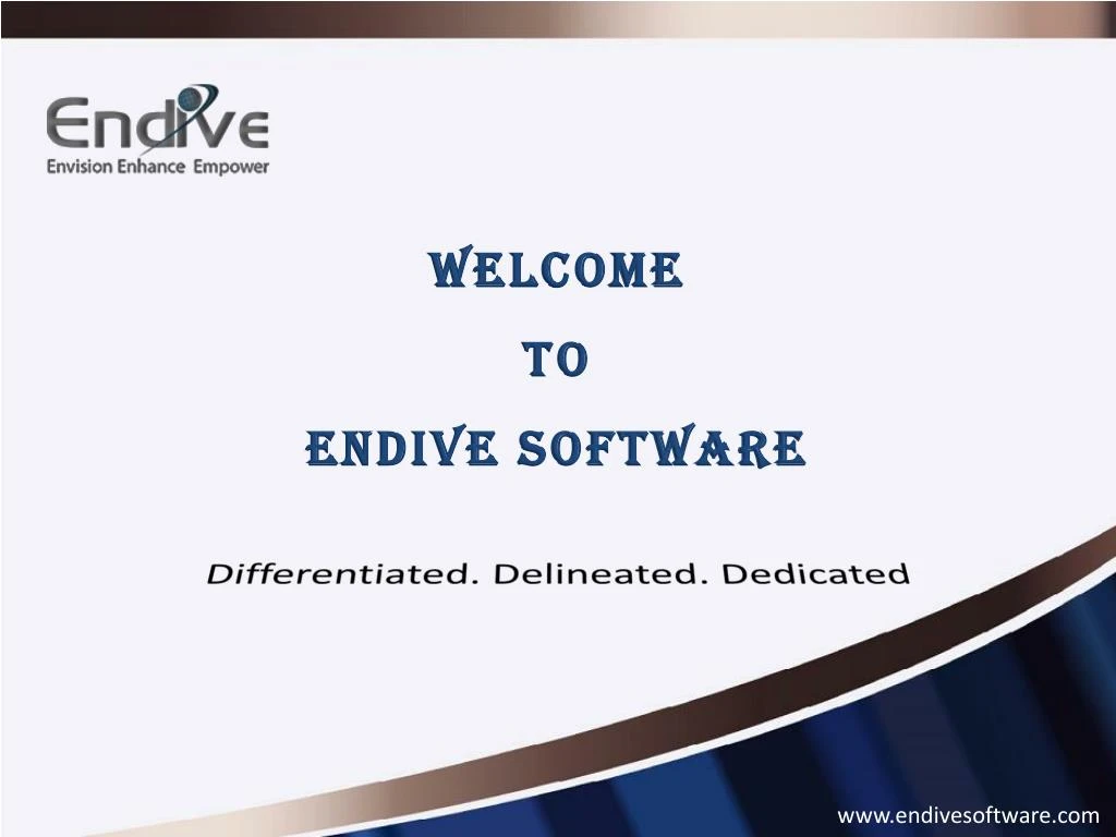 welcome to endive software