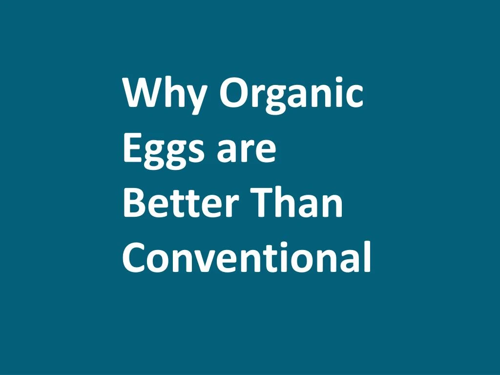 why organic e ggs are better t han c onventional